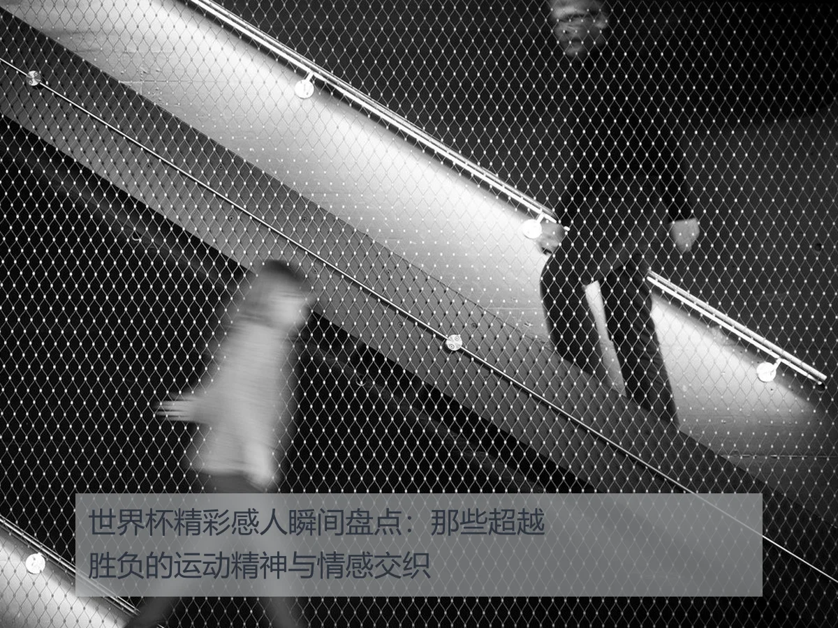 世界杯精彩感人瞬间盘点:那些超越胜负的运动精神与情感交织